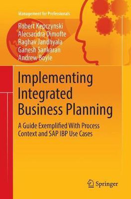 Management for Professionals- Implementing Integrated Busine ... - cover