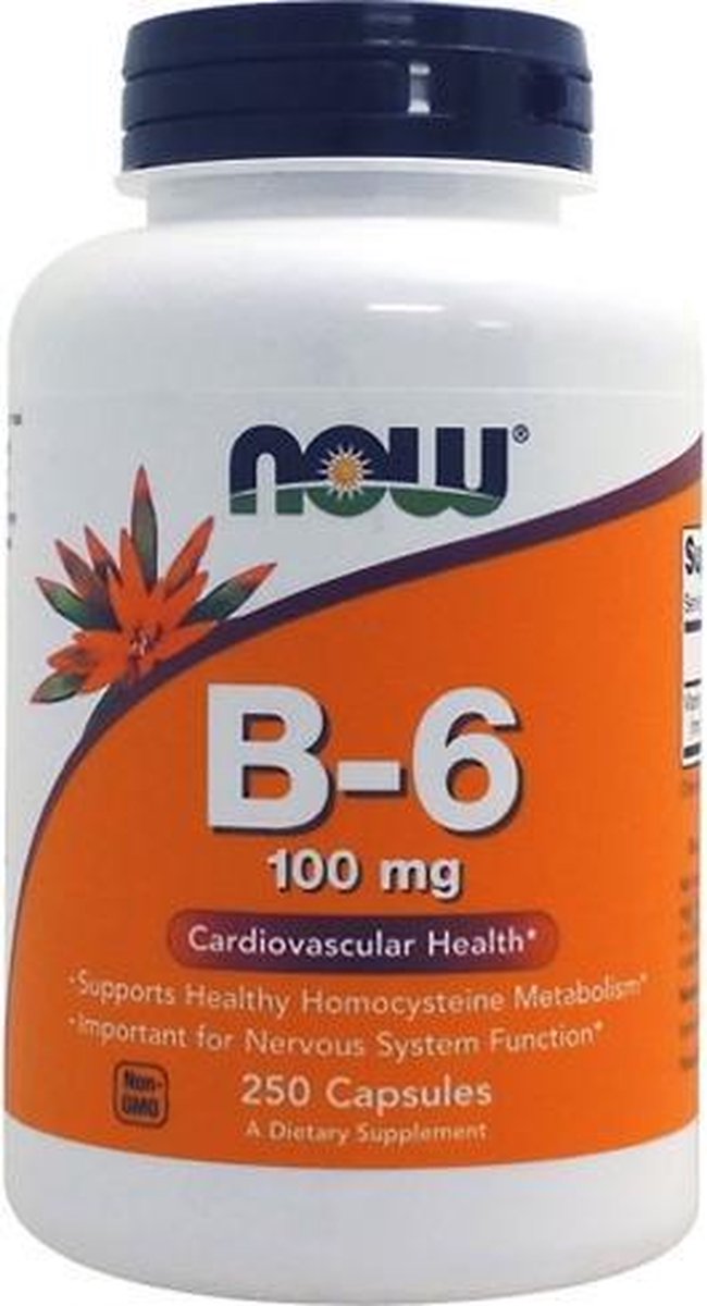 NOW Foods – Vitamine B-6 250caps