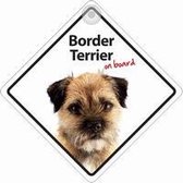 Border Terrier On Board