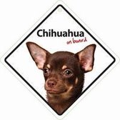 Chihuahua On Board