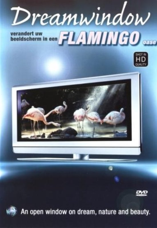 Cover van de film 'Dreamwindow - Flamingo's'
