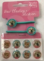 Studio Pets - Haarelastiekjes + Stickers Groen Hond