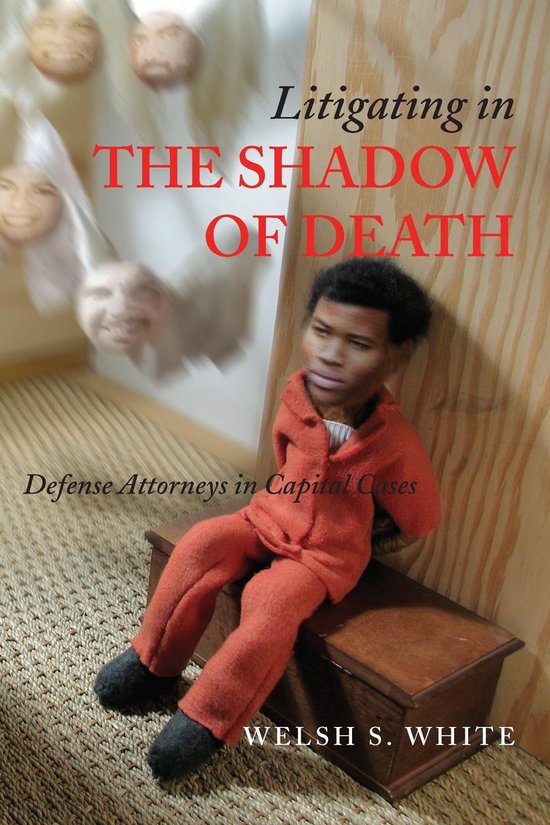 Litigating in the Shadow of Death - cover