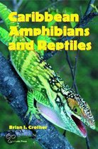 Caribbean Amphibians and Reptiles