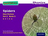 Read Write Inc. Phonics: Purple Set 2 Non-fiction 2 Spiders