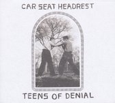 Teens Of Denial (LP)