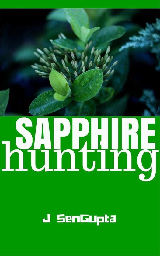 Sapphire Hunting - cover