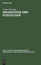Wolls Lehr- Und Handbücher der Wirtschafts- Und Sozialwissen- Grundzüge der Soziologie