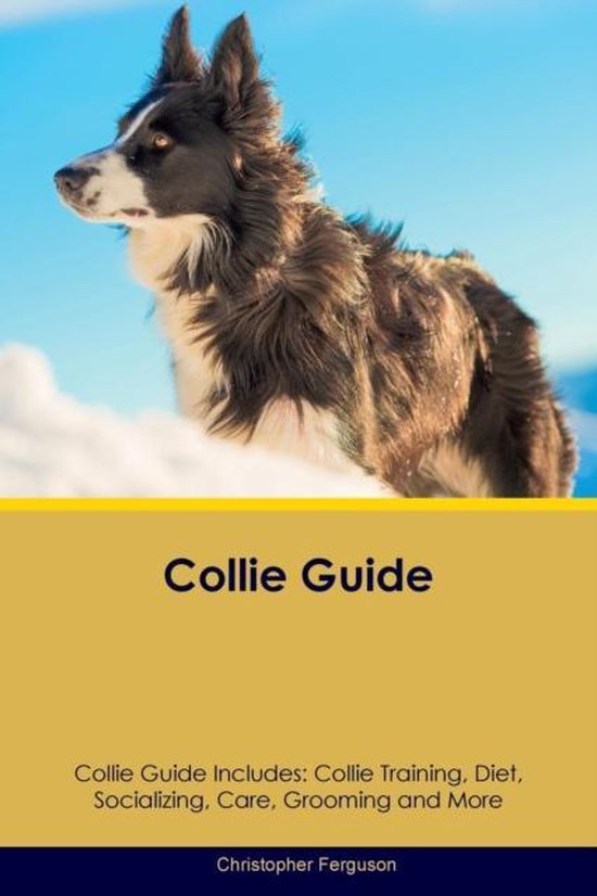 Collie