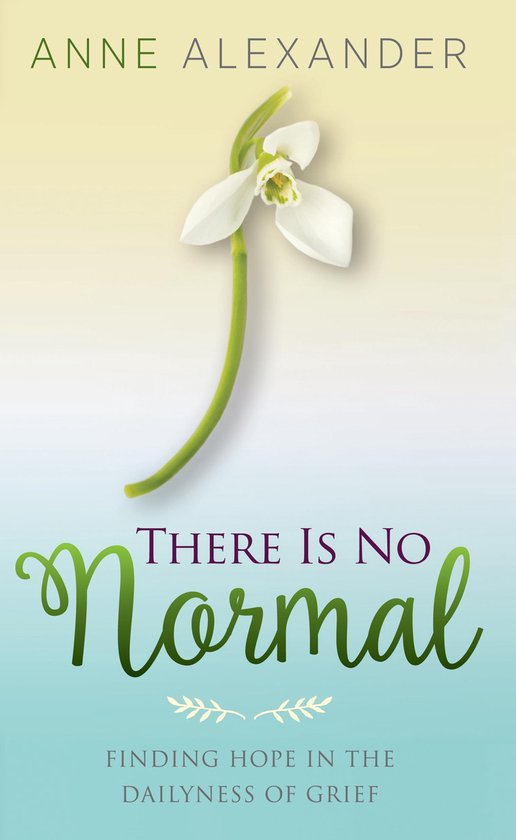 There Is No Normal: Finding Hope in the Dailyness of Grief - cover