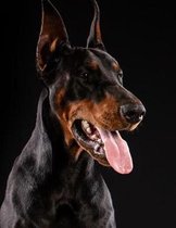 Doberman Pinscher Notebook