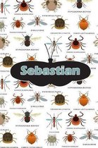 Sebastian