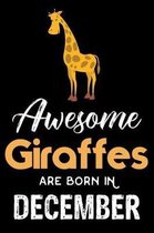 Awesome Giraffes Are Born in December
