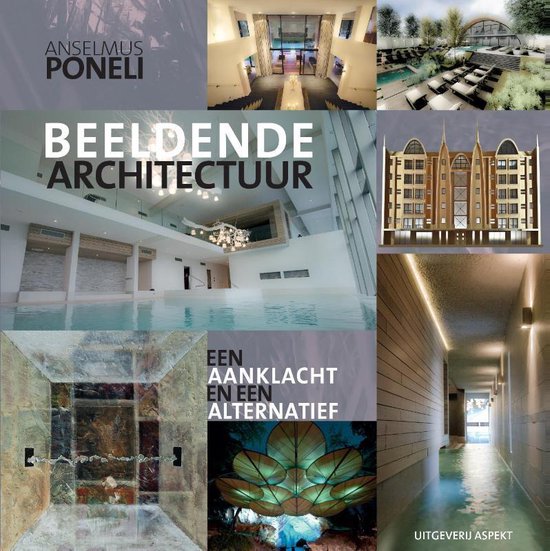 Beeldende architectuur - Anselmus Poneli | Highergroundnb.org