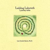 Ladybug Labyrinth