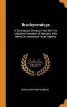Brachyceratops