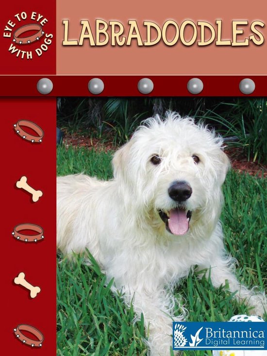 Eye to Eye with Dogs - Labradoodles - cover