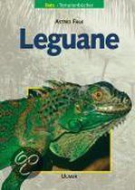 Leguane