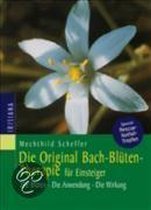 Die Original Bach-Blütentherapie für Einsteiger
