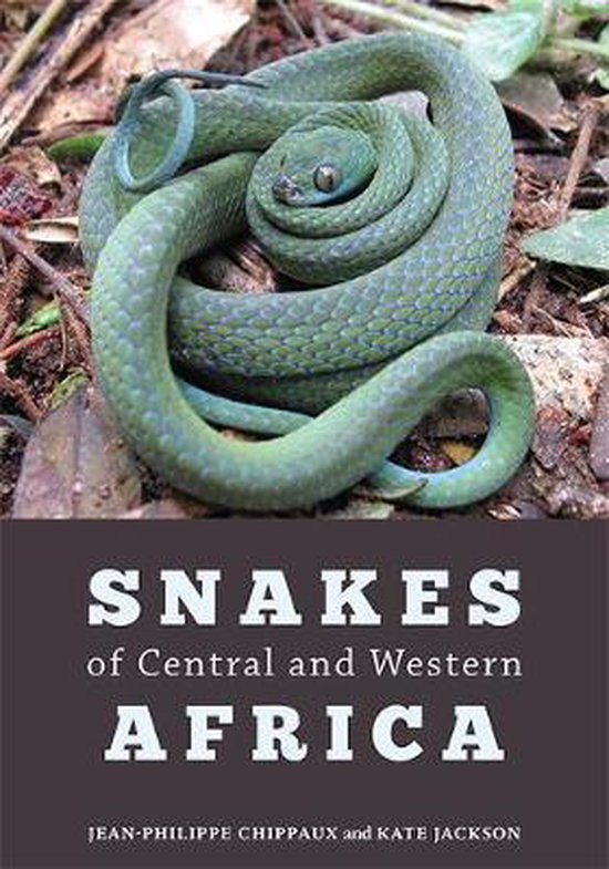 Groene slang opgerold op de grond met de titel 'SNAKES of Central and Western AFRICA'.