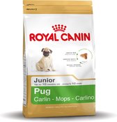 Royal Canin Pug / Pug Junior- Nourriture pour chiens - 1,5 kg