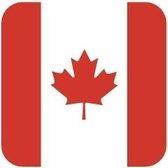 15x Bierviltjes Canadese vlag vierkant - Canada feestartikelen - Landen decoratie