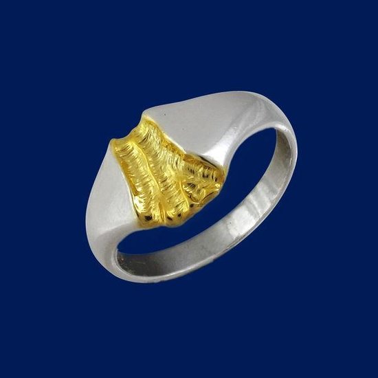 Rivier van goud, Zilveren ring 21.5mm