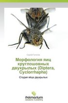 Morfologiya Yaits Krugloshovnykh Dvukrylykh (Diptera, Cyclorrhapha)