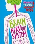 The The Brain and Nervous System