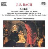 Scholars Baroque Ens - Motets (CD)