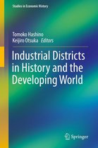 Studies in Economic History - Industrial Districts in History and the Developing World