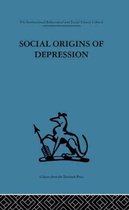 Social Origins of Depression