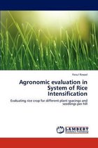 Agronomic Evaluation in System of Rice Intensification