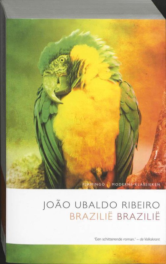 Brazilië Brazilië - João Ubaldo Ribeiro | Northernlights300.org