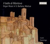 Il Ballo Di Mantova (CD)