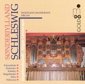 Wolfgang Baumgratz - Schleswig Organ Landscape (CD)