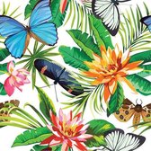 Diamond Painting pakket volwassenen | Tropical Flowers & Butterflies - 80 x 80 cm | Volledige bedekking met vierkante steentjes | FULL | DP Diamond Paintings