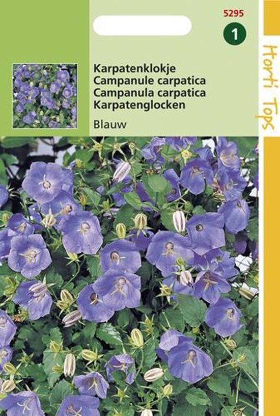 Hortitops Zaden - Campanula Carpatica Blauw