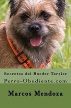 Secretos del Border Terrier