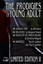 Prodigies of Young Adult 2 - Prodigies of Young Adult