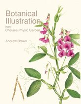 Botanical Illustration from Chelsea Phys