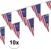 10x stuks Vlaggenlijnen Amerika/USA