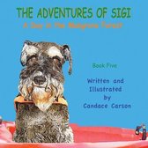 THE ADVENTURES OF SIGI-A Day In The Mangrove Forest