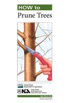 How to Prune Trees