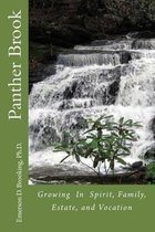 Panther Brook