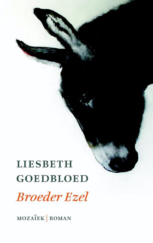 Broeder ezel - Liesbeth Goedbloed | Northernlights300.org