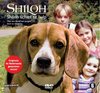 Shiloh 2 - Schiet Te Hulp