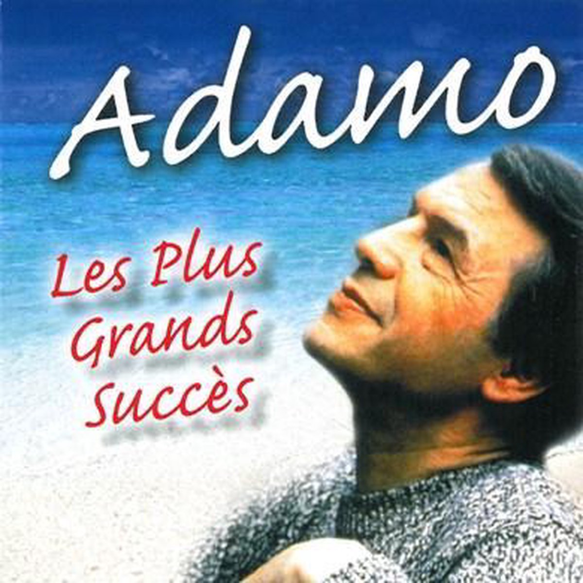 Les Plus Grand Succes