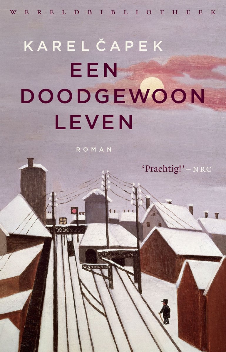 Omslag van Een doodgewoon leven