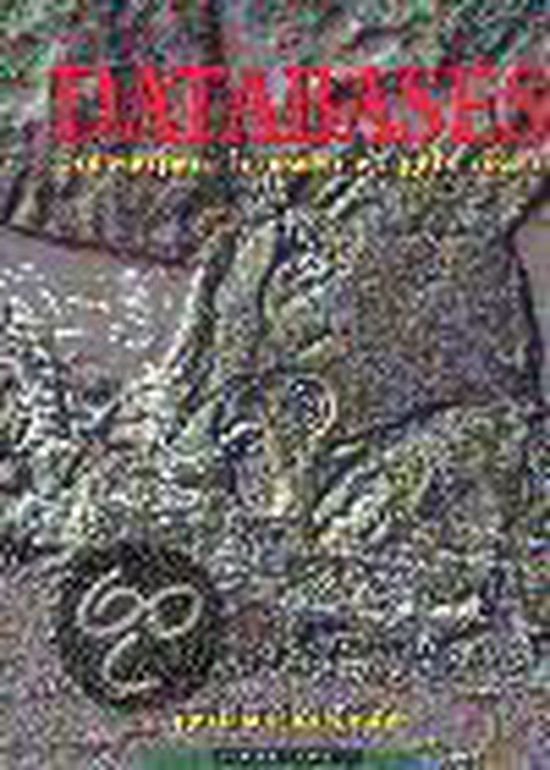 DATABASES ONTWERPEN, BOUWEN EN - cover